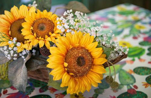 Villa Verde Castiadas - Foto 5