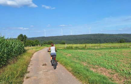 Ferienwohnung Zur Schönen Aussicht im Odenwald - Foto 8