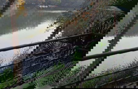 W Charming 5BR Villa in the Heart of Anapoima - Foto 10