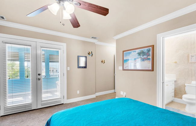 Blue Pelican - Foto 3