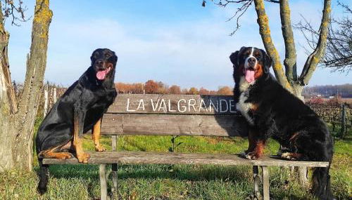 Cascina Valgrande, Monferrato - Foto 3