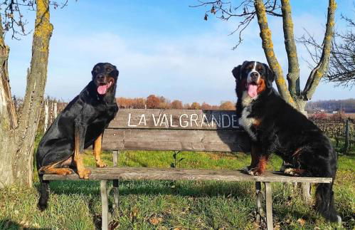 Cascina Valgrande, Monferrato - Foto 3