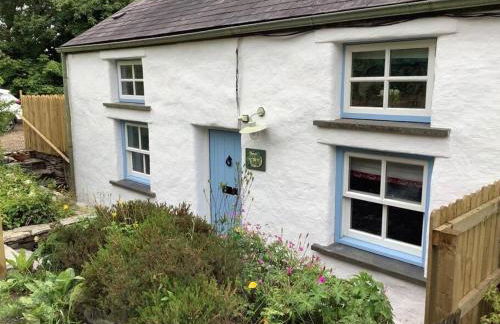 Penrallt-Fach Traditional Welsh cottage Pembrokeshire - Foto 40