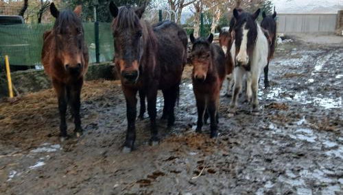 Casa da Emilia do Gerês - Foto 2