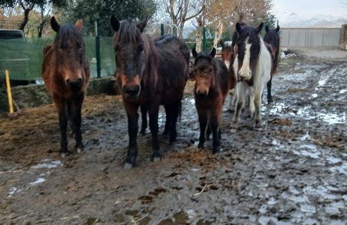 Casa da Emilia do Gerês - Foto 2