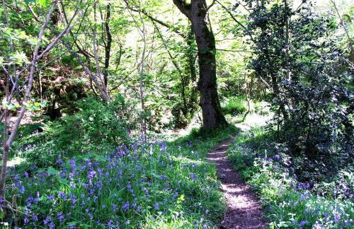 Bryn-y-Gof - Photo 24