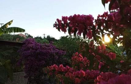 Aglaia House - Foto 24