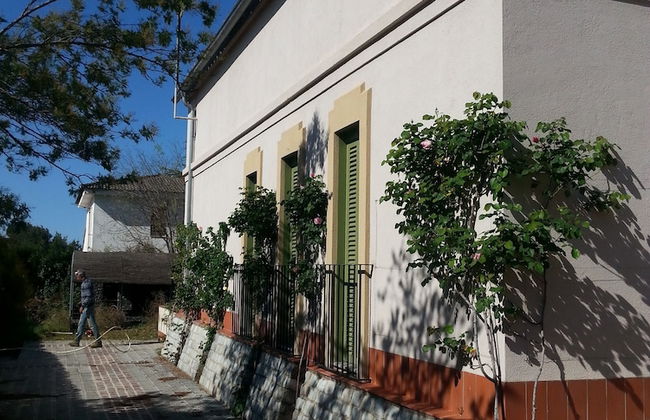 Xalet de la Muntanya - Photo 29