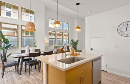 Sleeps 16 2 Homes Ocean Views Shared Pool Gym Near the Beach AvantStay - Foto 38