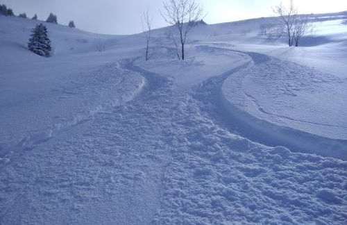 Chalets Savoie Les chalets d'Heidi - Photo 29