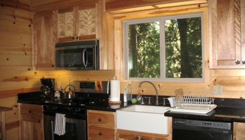 Exceptional Riverside Cabin Rental in the Trees near Pinecrest Lake, California - Photo 3