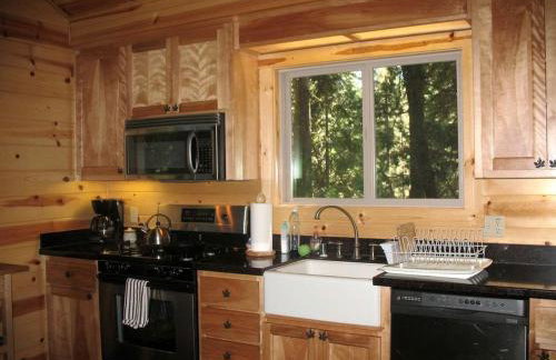 Exceptional Riverside Cabin Rental in the Trees near Pinecrest Lake, California - Foto 3