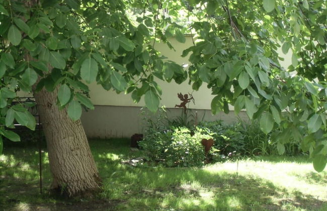 Monika Comfortable Holiday Residence - Foto 10