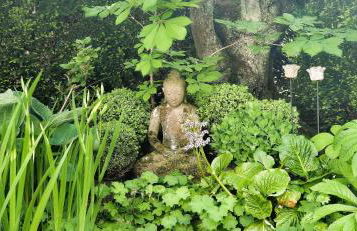 Ferienwohnungen Riedel - Foto 7