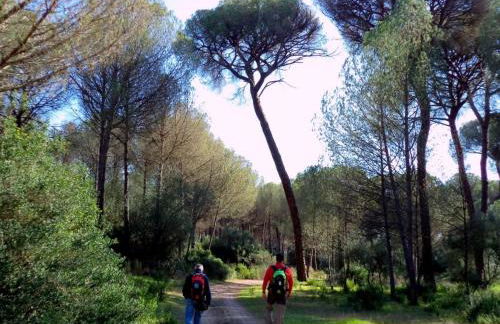 El Patio de las Minas - Foto 24