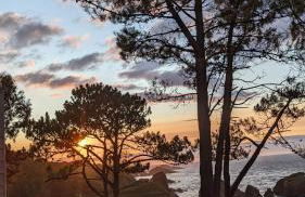 Alojamiento Las Nogueiras - Foto 10