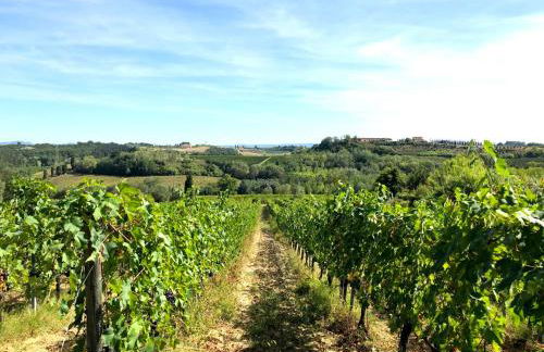 La Ginestra - Terrazza - Foto 26
