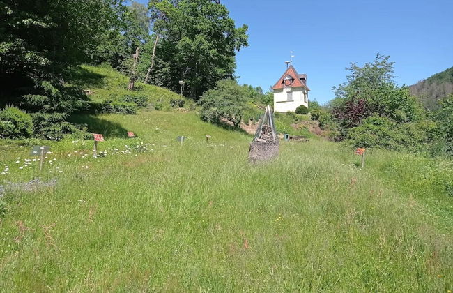 Ferienhaus in Wieda mit Garten - Foto 31