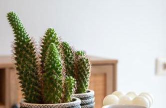 Modern Apartment in Cholargos - Foto 14