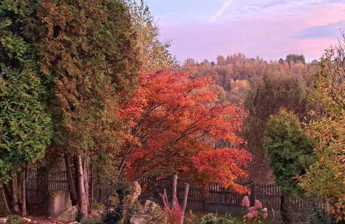 Brzozowy Zakątek - Foto 14