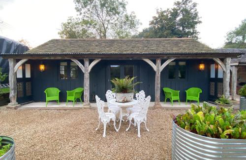 STARGAZER adult only - Foto 1