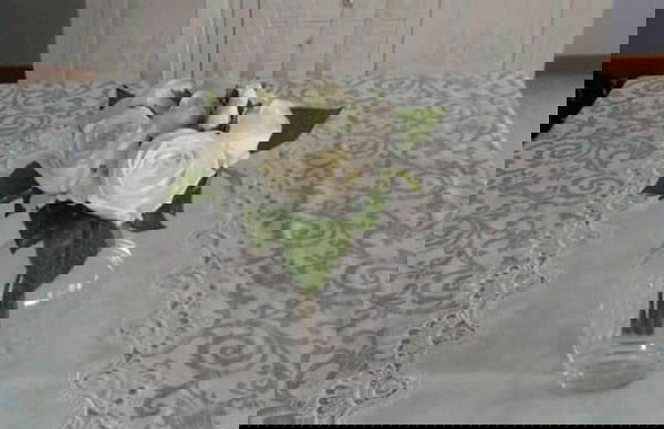 Casa Annick Holiday Home Chianti Area Florence - Photo 60