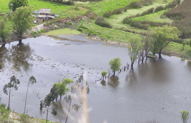 Cucunubá Hiking Tour - Foto 1