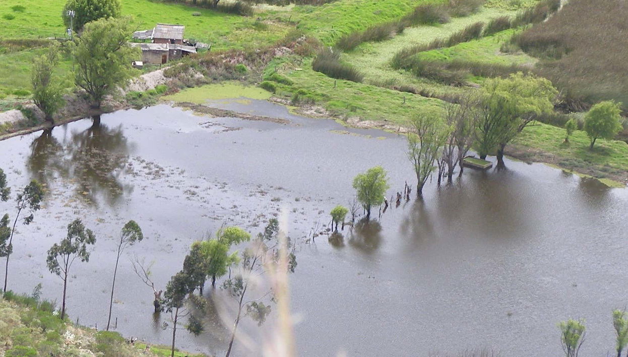 Cucunubá Hiking Tour - Foto 1