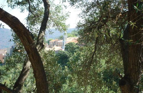 costa di sognu - Foto 11