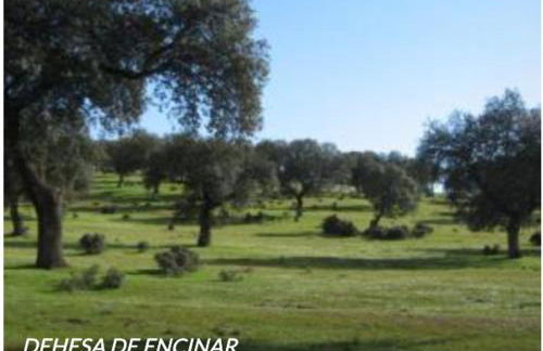 Casa Rural con encanto El Coronel, Los Pánchez, Fuente Obejuna - Foto 29