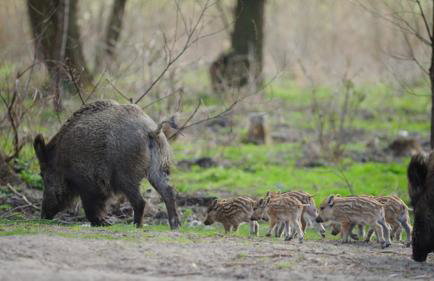 Four Winds - Foto 36