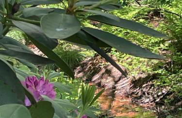 Ferienwohnung Idyll - Alleinlage - Foto 14