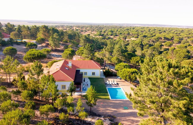 Herdade de Montalvo - Foto 1