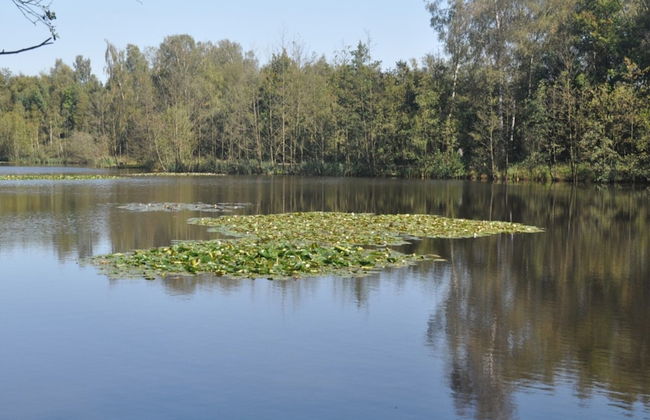 Holiday Home in Langenhorn Near North Sea - Foto 21