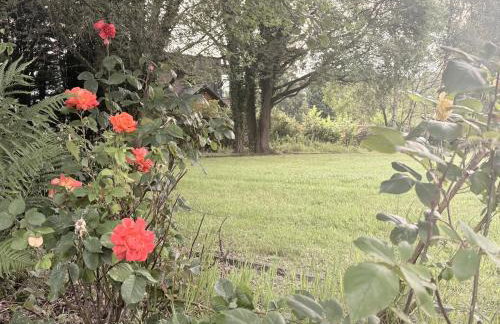 Couples - Retreat Dog Friendly - Foto 39