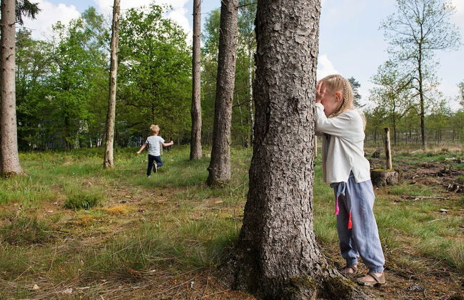 Modern Villa Near Veluwe - Foto 8