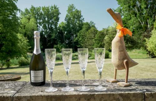 The Quackery - Foto 8