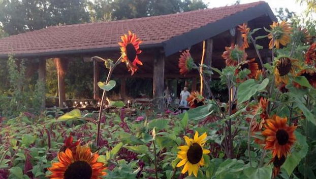 Agriturismo Cascina degli Ulivi - Foto 2, Imagen principal