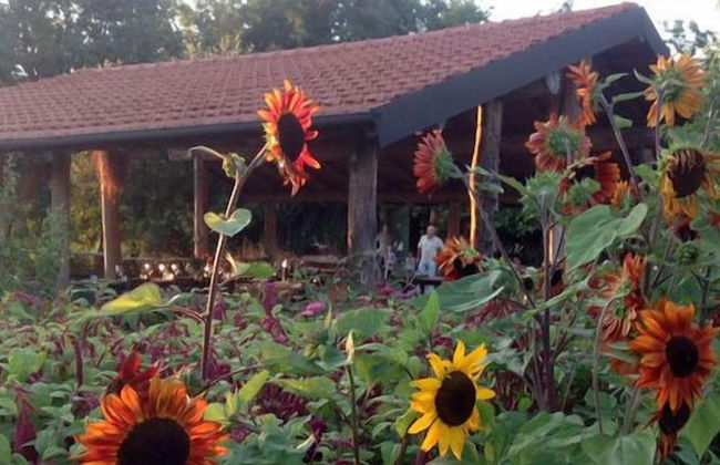 Agriturismo Cascina degli Ulivi - Foto 1