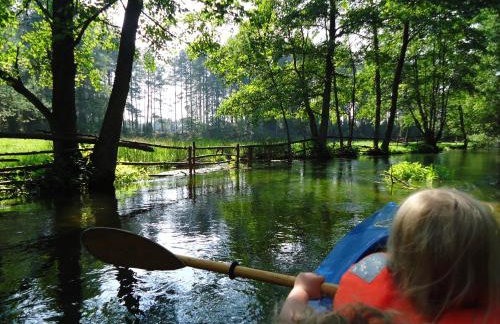 Agroturystyka Sominy - Foto 37