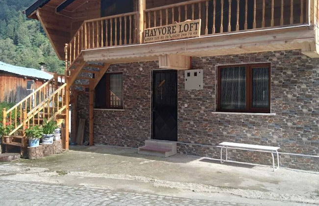 Hayvore Loft - Photo 25