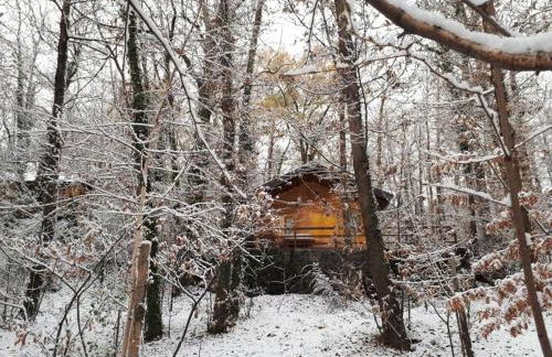 CHALET ETNA MILO - Foto 35