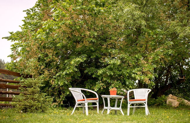 Teply khutor - Photo 28