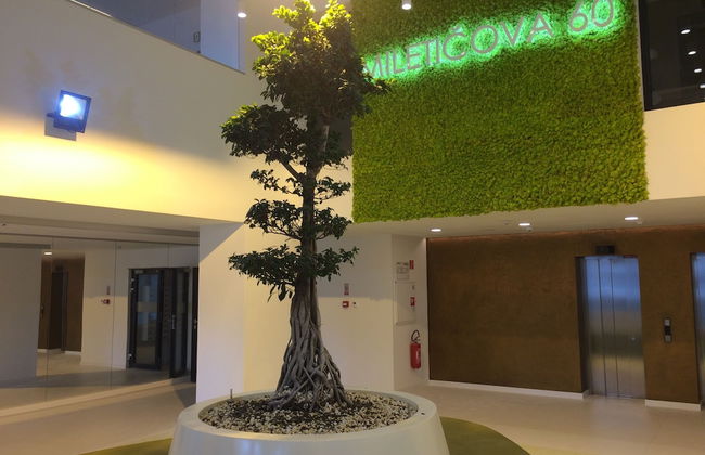 Quality Apartment Miletičova - Foto 2