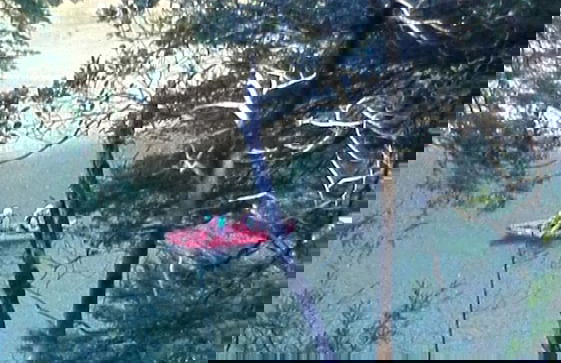 Cabaña Rústica 2 Maravillosa,con Troncos Nativos, con Orilla de Río Trancura - Photo 56