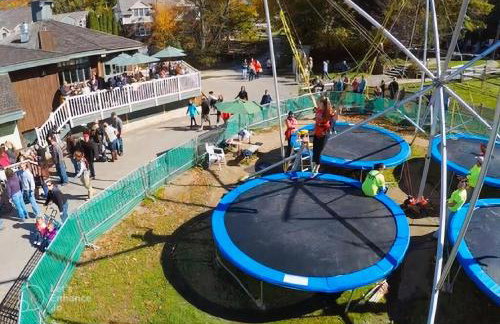 Ski On Off 1BR Suite 1st Flr Sleeps 4 Jiminy Peak - Foto 29