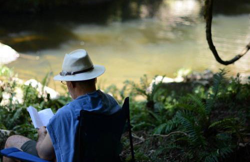 Alugo minha casa na floresta! - Foto 39