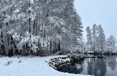 Studio apartament, Dwor Kuflew - Foto 15