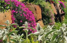 Domek Kojsówka - Foto 57