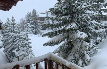 BAITA ARIANNA - bilocale MOTTA - Photo 35